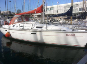 Boat at Lisbon - Seehund